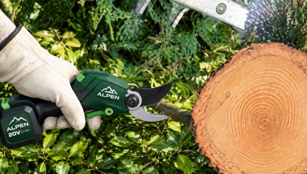 Snoeiwerk in de tuin met een handsnoeischaar