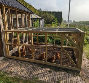 Kippenren gemaakt van zwart geplastificeerd gaas en geïmpregneerd Vurenhout - Hoveniersbedrijf C.K. van Mourik - Buurmalsen - West Betuwe - Culemborg - Tiel - Meteren - Deil - Avezaath - Zoelen